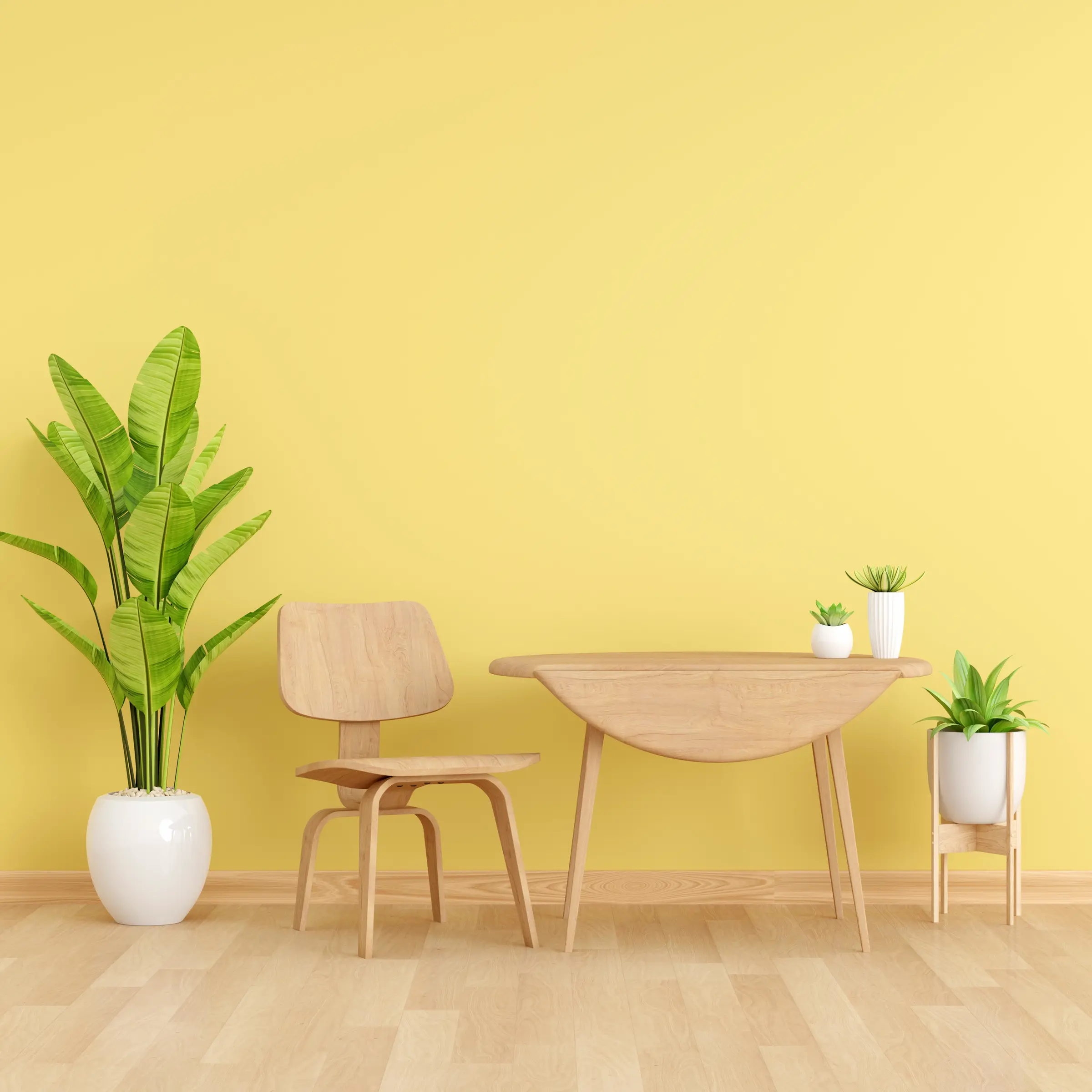 Kayson Paints finish